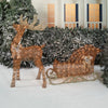 Holiday Time Light-Up PVC Vine 52" Buck and 42" Sleigh