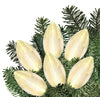 Member's Mark Ultra Bright LED C9 Lights Warm White, 50-Count
