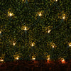 GE Pro-Line ConstantOn 4' X 6' Extra Large Net-Style Lights 150-Count, Clear