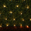 GE String A Long 6 foot X 4 foot Net Style Christmas Holiday Lights 150 Count Clear