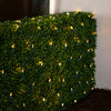 GE 5 ft X 4 ft StayBright 100 LED Net-Style Lights Warm White