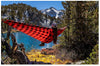 Grand Trunk Hang Anywhere Double Hammock, Black/Red
