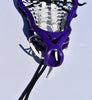 STX NTrance Women's Strung Lacrosse Head, Purple