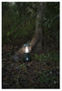 Heritage Camp Lantern, Green