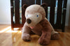 World of Eric Carle, Jumbo Brown Bear by Kids Preferred