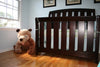 World of Eric Carle, Jumbo Brown Bear by Kids Preferred