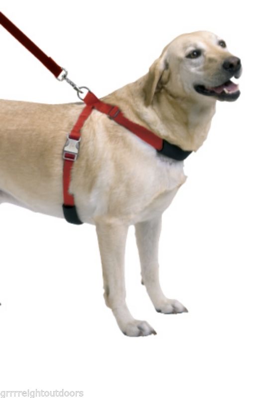 Sporn Simple Dog Control Blue L XL Harness Girth 27 to 41 Inch Labradors Collies