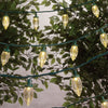 Member's Mark Super-Bright LED Christmas Lights (Warm White, 50 count - C9)