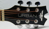 Keith Urban Acoustic Electric Guitar On Tour 40-pc Guitar Pkg Brazilian Burst (Right)