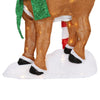 Rudolph the Red Nosed Reindeer Pre-lit Yard Art 32" Rudolph with North Pole