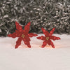 Holiday Time Light-Up Set of 2 Poinsettias 16 and 20 Inches Tall