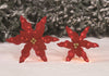 Holiday Time Light-Up Set of 2 Poinsettias 16 and 20 Inches Tall