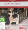 Holiday Time Light-Up Rrindeer Sculpture