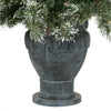 Martha Stewart Living 6.5FT Pre-Lit Sparkling Pine Potted Artificial Tree