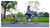 Allen Sports Yoogo Deluxe 2-Child Bike Trailer, Green
