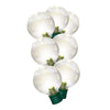 Member's Mark Super Bright LED G40 Lights 8 Function Warm White, 60 Count