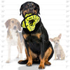 Tuffy Mega Ultimate 4 Way Ring Dog Toy, Yellow